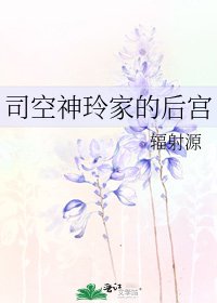 司空神玲家的后宫